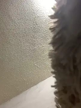 talitasilvx online show from 03-18-25, 11:09