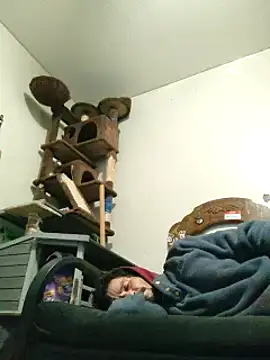 Snapshot of LongDickZee562 chatting on 01-31-25, 09:16 LongDickZee562 online show from 01-31-25, 09:16