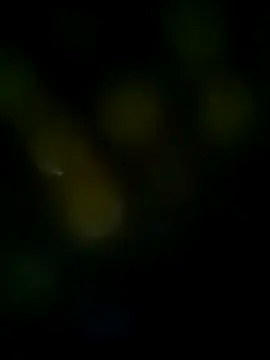 Snapshot of LongDickZee562 chatting on 03-08-25, 10:11 LongDickZee562 online show from 03-08-25, 10:11