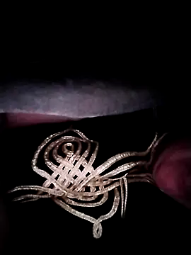 nayakaA7 online show from 11-21-25, 04:44