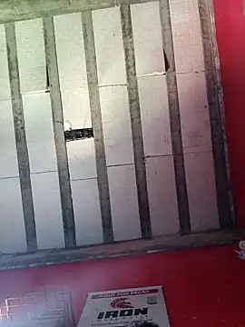 Sergipano fogozinho online show from 11-14-25, 04:32