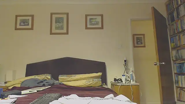 Snapshot of WaverlyKernow chatting on 01-29-25, 08:25 WaverlyKernow online show from 01-29-25, 08:25