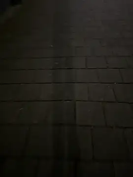 Im the b0ss online show from 03-31-26, 10:34