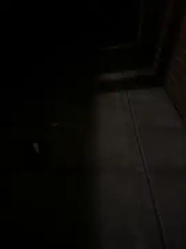 Im the b0ss online show from 03-19-26, 12:43