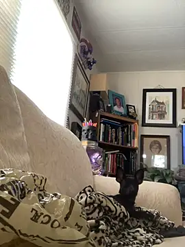 BobbyQ29 online show from 06-19-26, 12:16