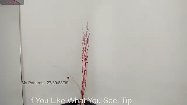 CirceJuno1 online show from 05-12-26, 10:38