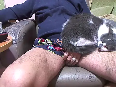 zormen355 online show from 04-08-26, 07:48