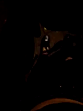 FeloBad online show from 05-26-26, 03:37