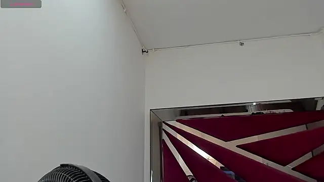 FaloonRoussel online show from 01-07-26, 07:52