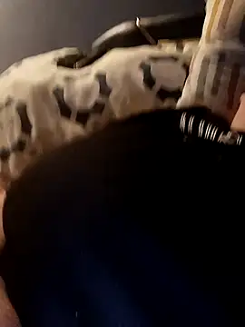 poussychats online show from 01-04-25, 04:43