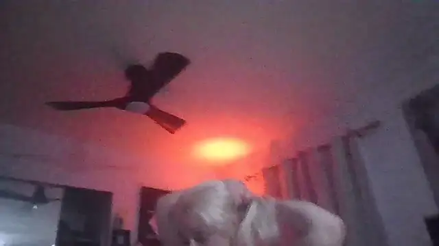 Snapshot of TiaDunn chatting on 04-05-26, 08:43 TiaDunn online show from 04-05-26, 08:43