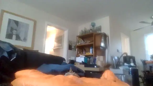 Snapshot of den-rock4u chatting on 12-01-25, 06:42 den-rock4u online show from 12-01-25, 06:42