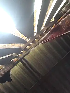 HotSexyBoudi online show from 10-07-25, 08:59