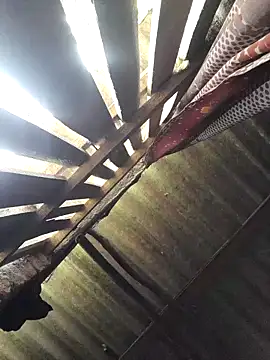 HotSexyBoudi online show from 09-28-25, 09:16