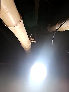 Snapshot of HotSexyBoudi chatting on 02-26-26, 08:25 HotSexyBoudi online show from 02-26-26, 08:25