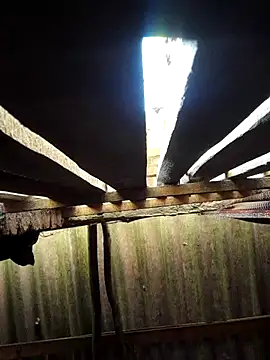 HotSexyBoudi online show from 09-29-25, 08:43