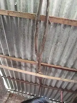 HotSexyBoudi online show from 10-15-25, 09:06