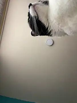 Snapshot of Kimmymadison- chatting on 01-15-26, 09:07 Kimmymadison- online show from 01-15-26, 09:07