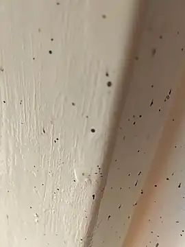 Camila erotica online show from 04-04-26, 02:45