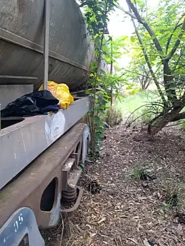 Snapshot of Petrossa chatting on 11-12-25, 09:02 Petrossa online show from 11-12-25, 09:02