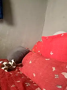 Snapshot of Petrossa chatting on 01-13-26, 11:47 Petrossa online show from 01-13-26, 11:47