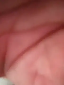 WilldoPita online show from 02-10-26, 04:17