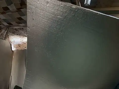 trash4cash online show from 02-07-26, 11:02