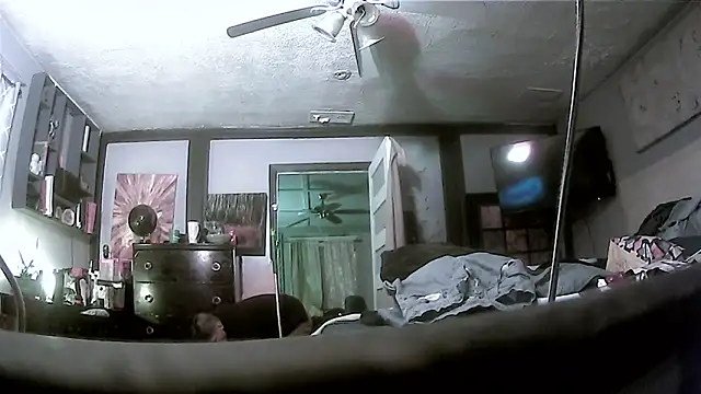 trash4cash online show from 03-17-26, 02:36