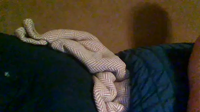 trash4cash online show from 10-31-25, 02:19