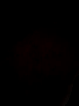 ySqmbVanbe online show from 03-31-26, 03:08