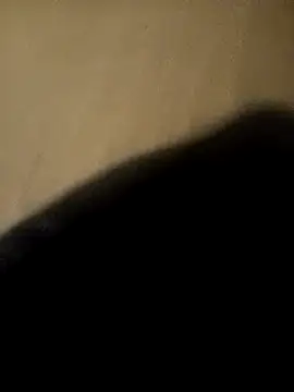 ySqmbVanbe online show from 11-29-25, 04:56