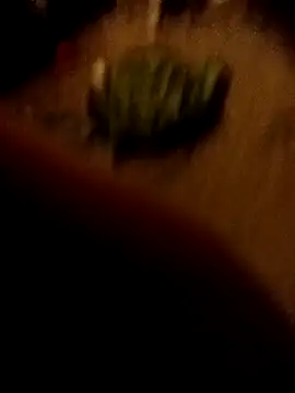 ySqmbVanbe online show from 02-16-26, 01:37