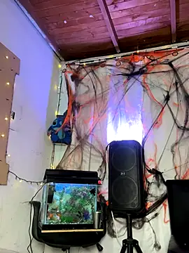 sweet kamil online show from 10-31-25, 03:03