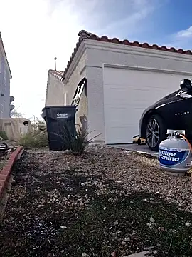 FloppyPickle4u online show from 01-13-26, 06:45