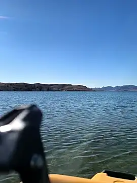 FloppyPickle4u online show from 03-08-26, 03:59