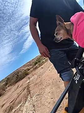 FloppyPickle4u online show from 02-12-26, 05:56