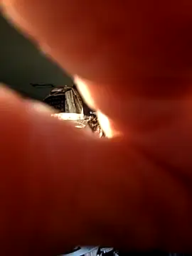 Talenjames4 online show from 04-07-26, 10:44