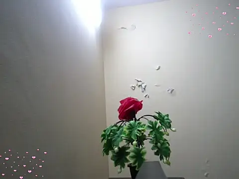 Arushisingh8888 online show from 12-18-25, 11:36