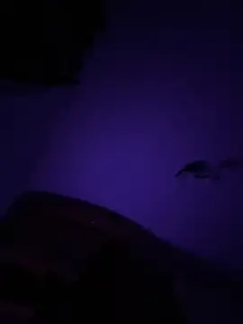 Micky  love online show from 10-12-25, 12:56