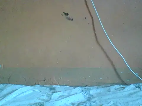 Naivegirrl online show from 02-01-26, 10:13