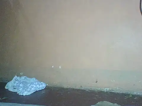 Naivegirrl online show from 12-02-25, 10:33