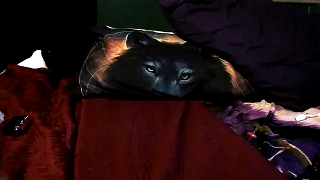 Snapshot of wolfgirl97 chatting on 12-04-25, 12:26 wolfgirl97 online show from 12-04-25, 12:26