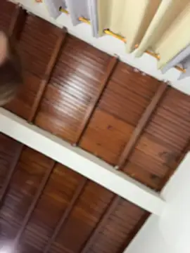 emiss  online show from 03-05-26, 02:24