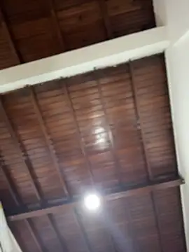 emiss  online show from 12-03-25, 03:11