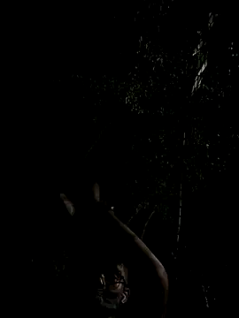 Snapshot of mumuowl chatting on 09-20-25, 05:29 mumuowl online show from 09-20-25, 05:29