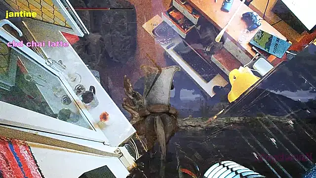 BongChannel online show from 03-09-25, 03:54