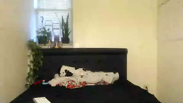 vixenpaisley2 online show from 12-07-24, 02:58