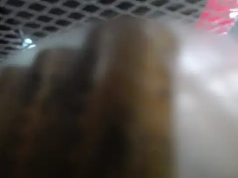 lovense test04 online show from 01-07-26, 02:05