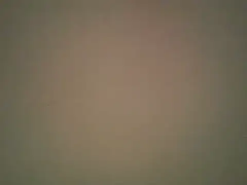 lovense test04 online show from 10-22-25, 02:33