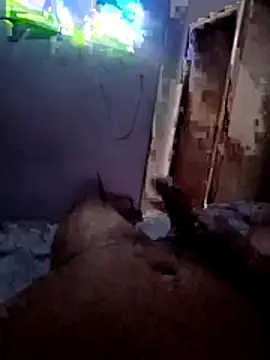 Snapshot of Dofinho09 chatting on 11-07-25, 05:06 Dofinho09 online show from 11-07-25, 05:06